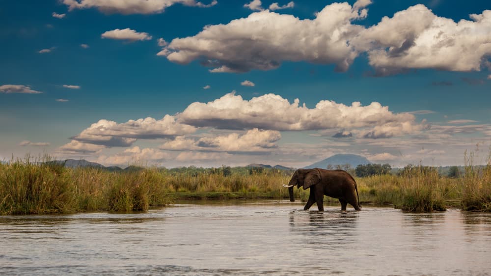 Parque Nacional de Lower Zambezi
