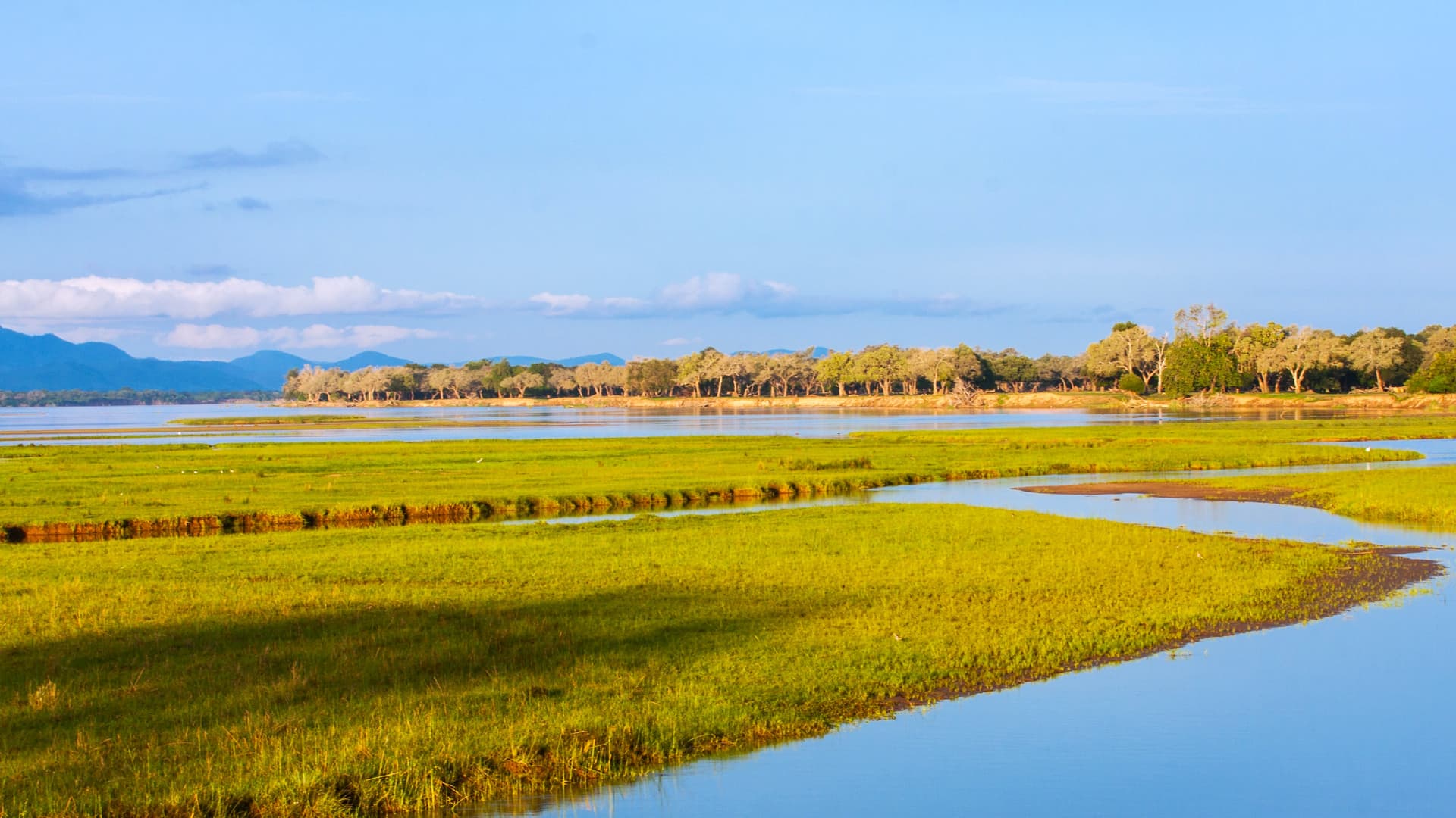 Liuwa Plain y oeste salvaje