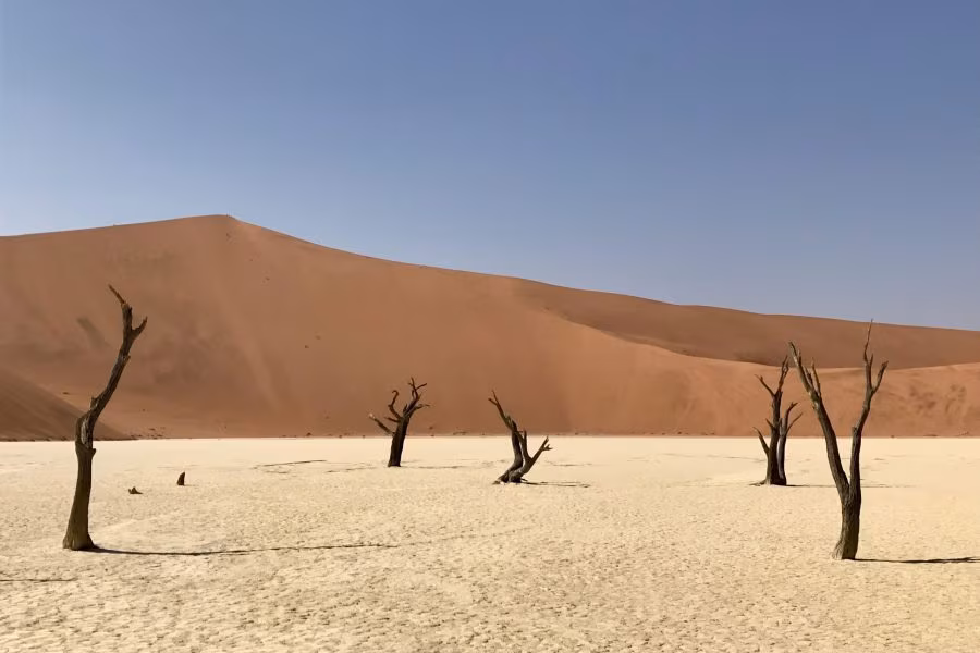 Namibia Auténtica